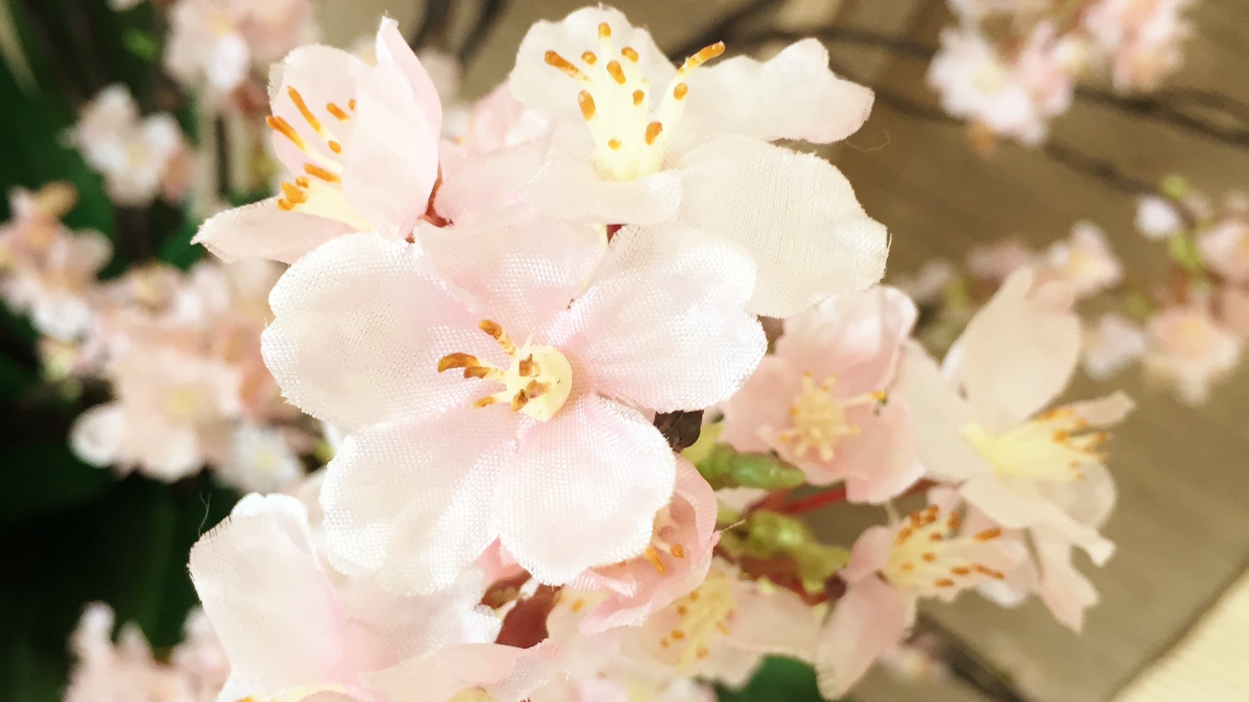 桜レンタル