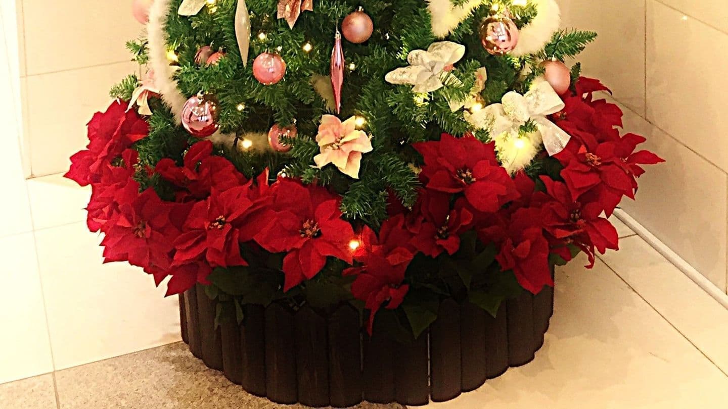 クリスマスツリーの足元を隠す木の柵と赤いポインセチア造花のレンタル。クリスマスツリーレンタルのオプションです。