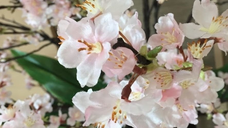アーティフィシャルフラワーの桜。レンタルで空間を華やかに演出します