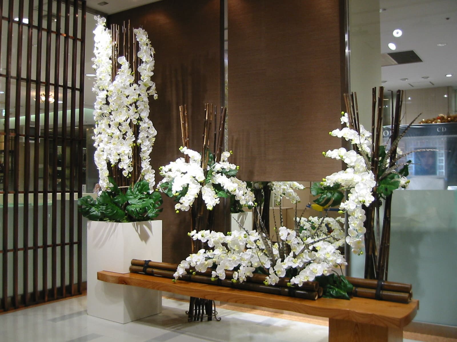 白い胡蝶蘭と竹を組み合わせた和モダンなディスプレイ装飾。白いプランターと木製ベンチを使った高級感のある店舗・ロビー向け演出。