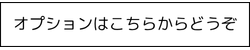 クリスマスツリーレンタルのオプション
